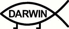 Darwin Fish vinyl decal